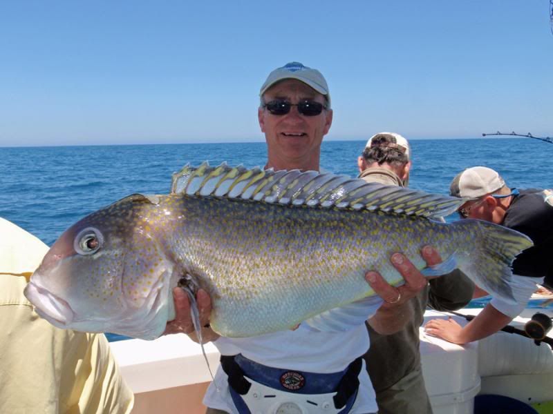 Fishing Report Sea Bass, Grouper, Tilefish.... Tidal Fish Forum